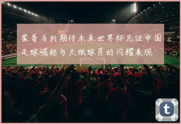 蒙哥马利期待未来世界杯见证中国足球崛起与天赋球员的闪耀表现